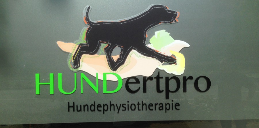 Schaufenster Hundertpro